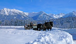 Kutsch- und Schlittenfahrten in Tiefenbach und nach Rohrmoos